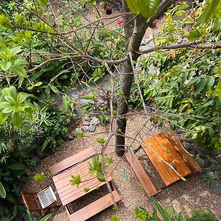 Yellow Farm Homestay Dong Tac Ngoại thất bức ảnh