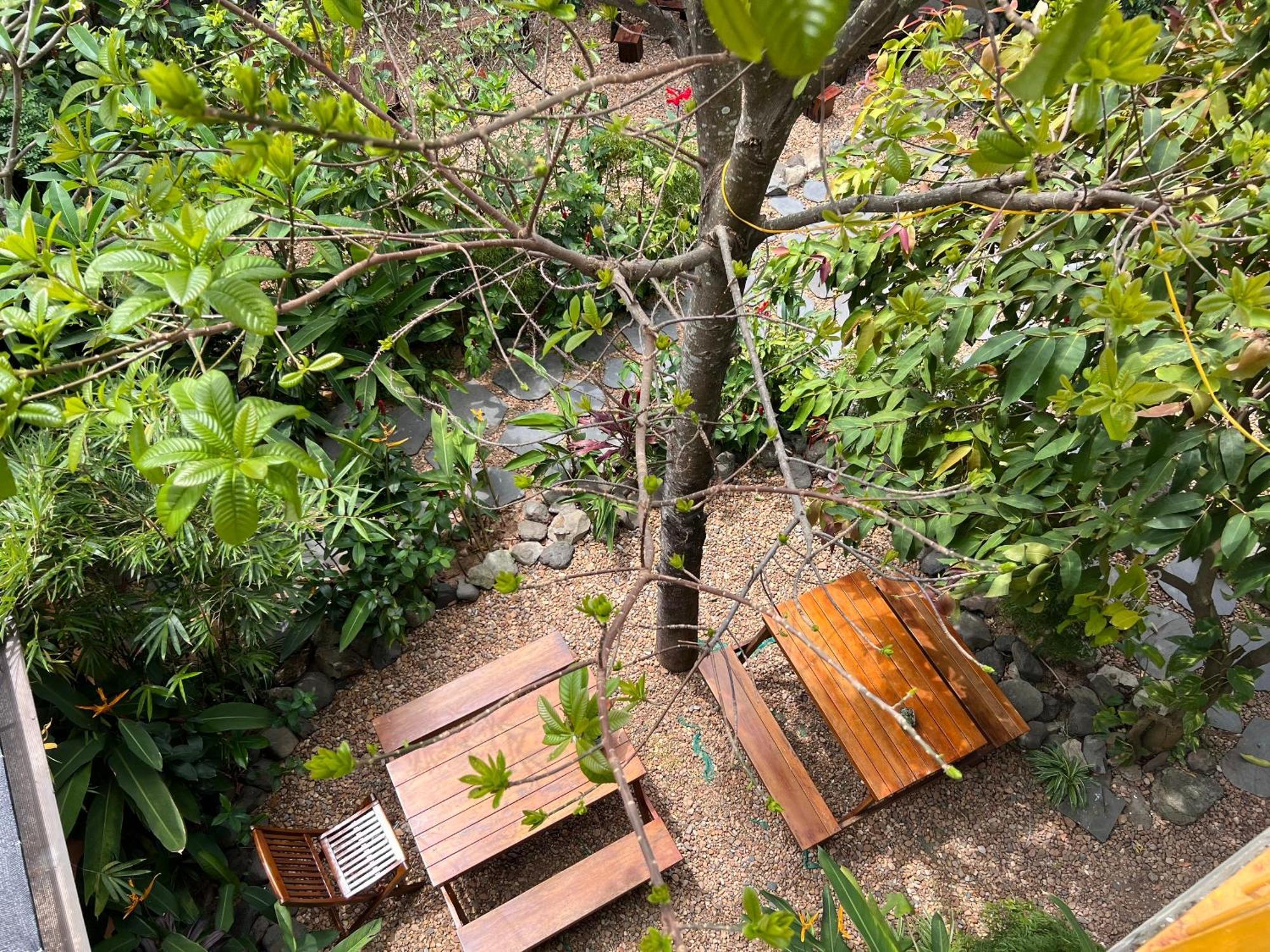 Yellow Farm Homestay Dong Tac Ngoại thất bức ảnh