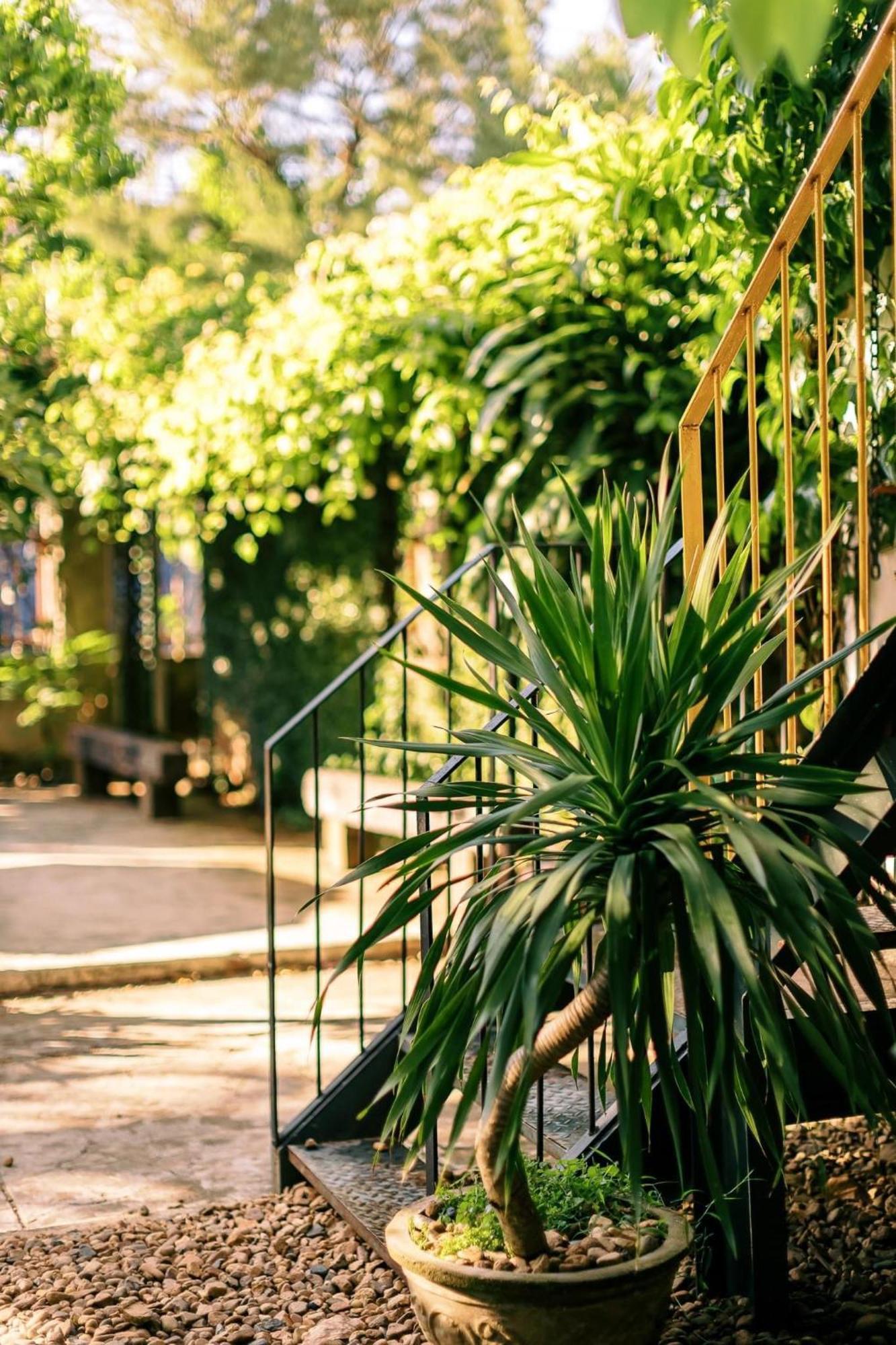 Yellow Farm Homestay Dong Tac Ngoại thất bức ảnh