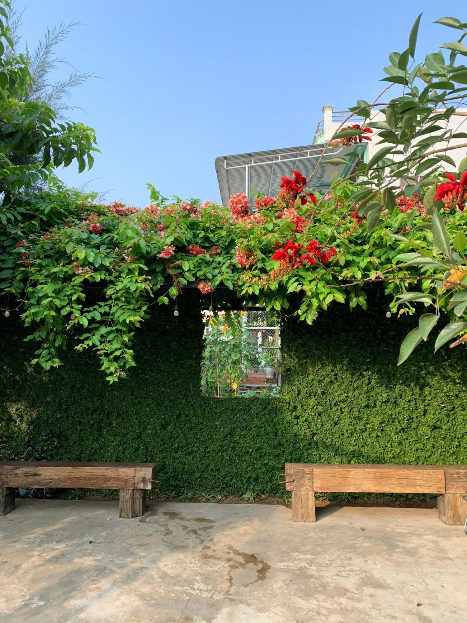 Yellow Farm Homestay Dong Tac Ngoại thất bức ảnh