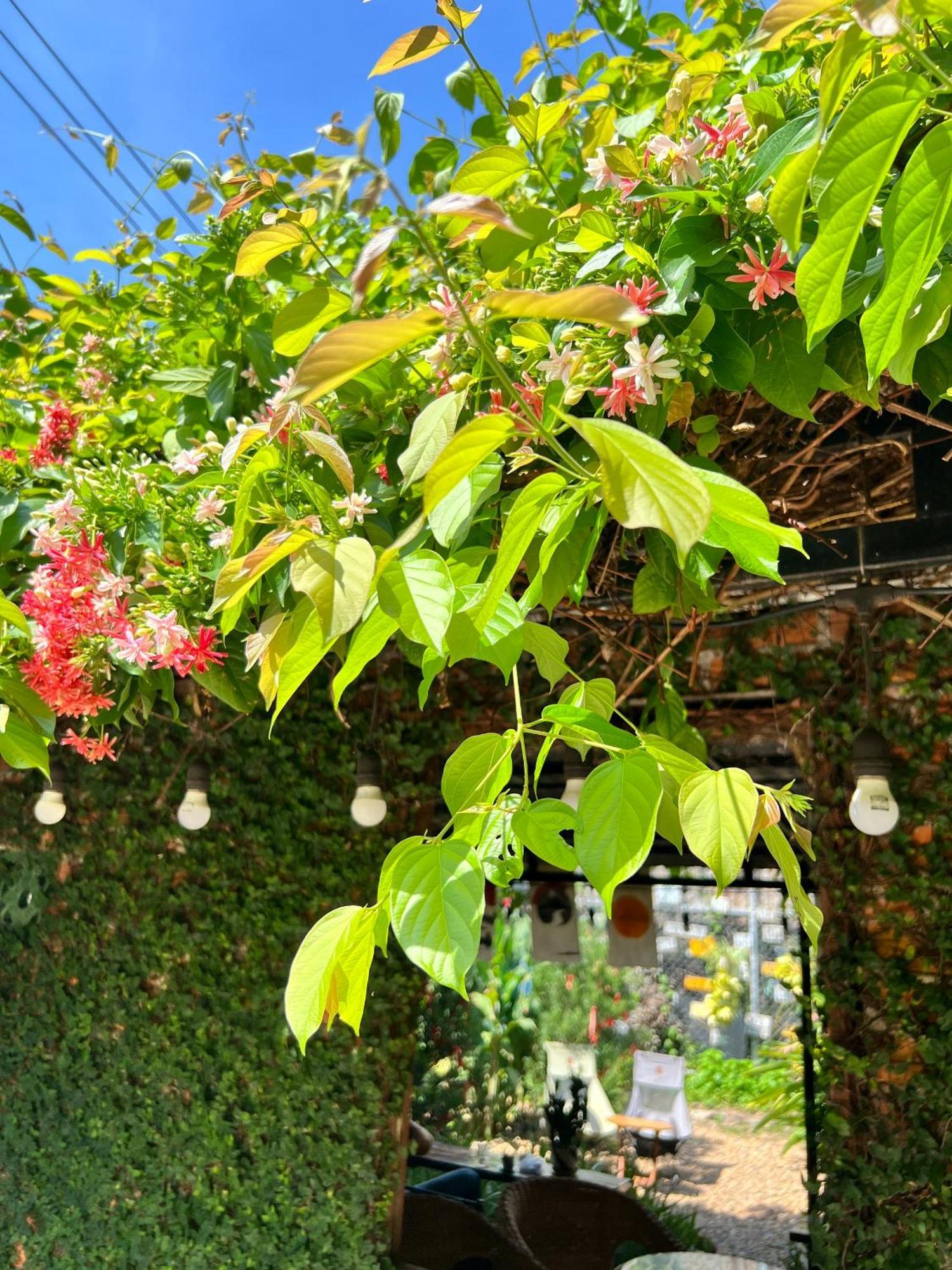 Yellow Farm Homestay Dong Tac Ngoại thất bức ảnh