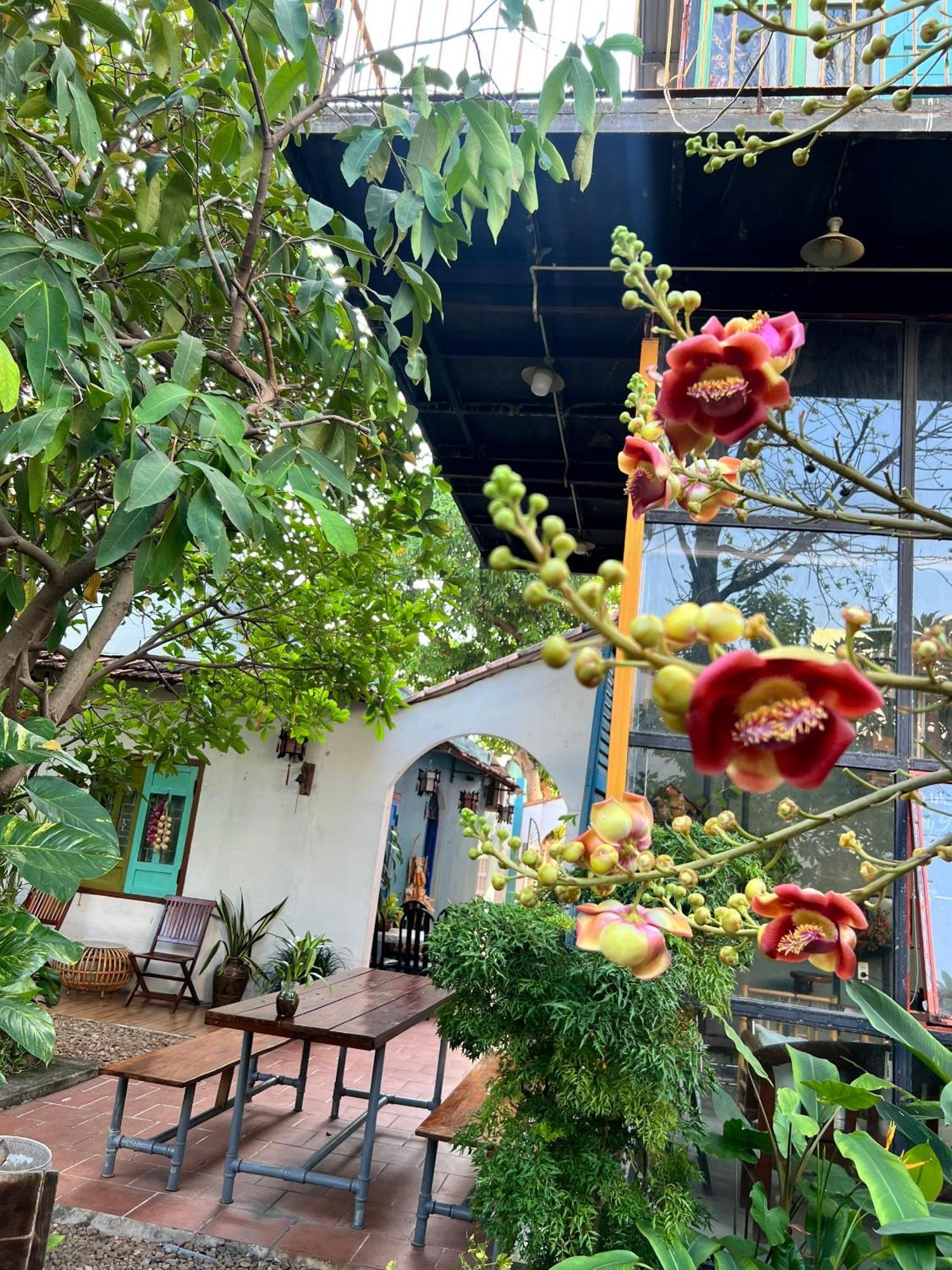 Yellow Farm Homestay Dong Tac Ngoại thất bức ảnh